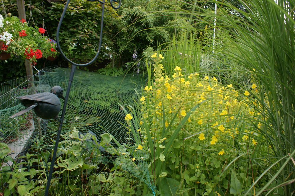 Gartenwettbewerb Hamburg summt